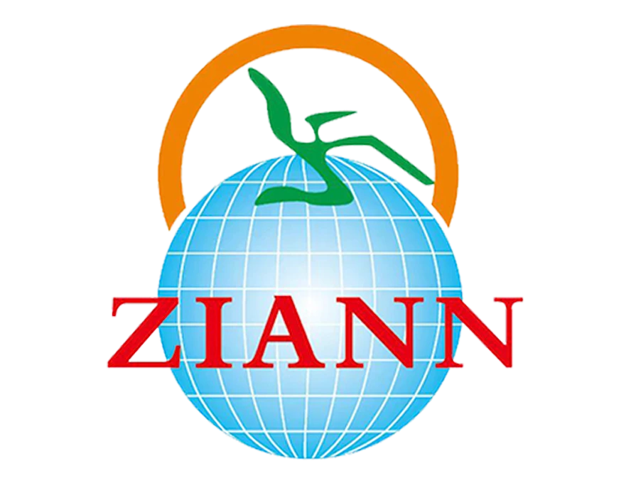 ZIANN_LOGO