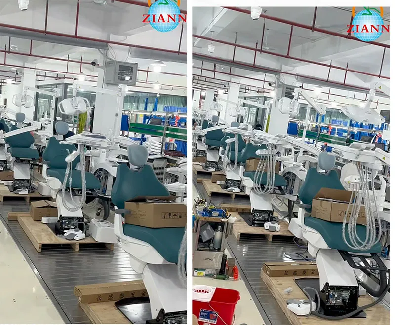 ZIANN new factory